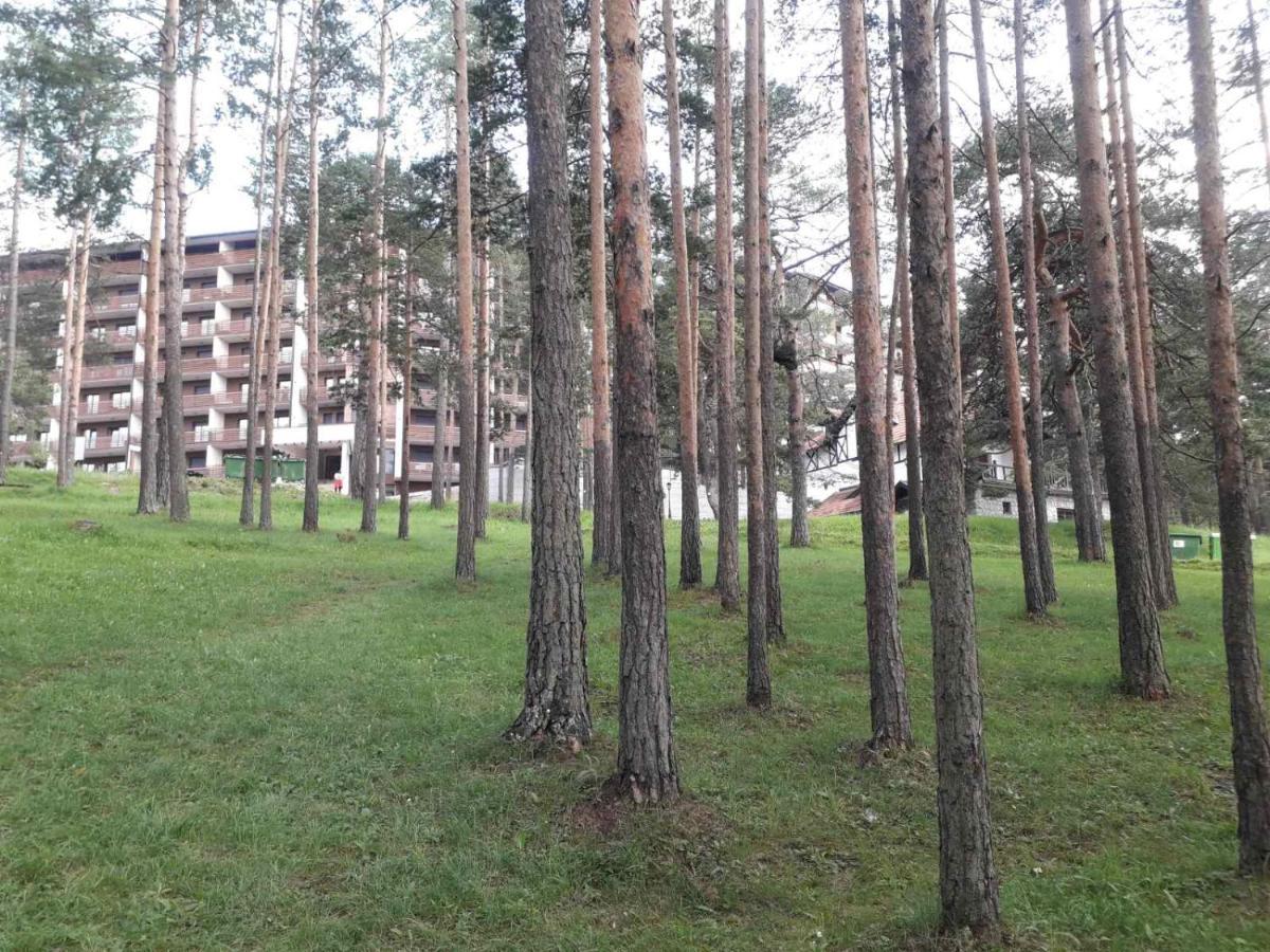 Lux Apartman Ss Zlatibor Vila Pekovic Green Zewnętrze zdjęcie